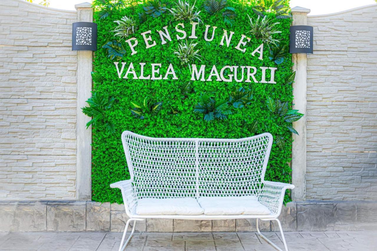 Pensiunea Valea Magurii Novaci-Străini Exterior photo